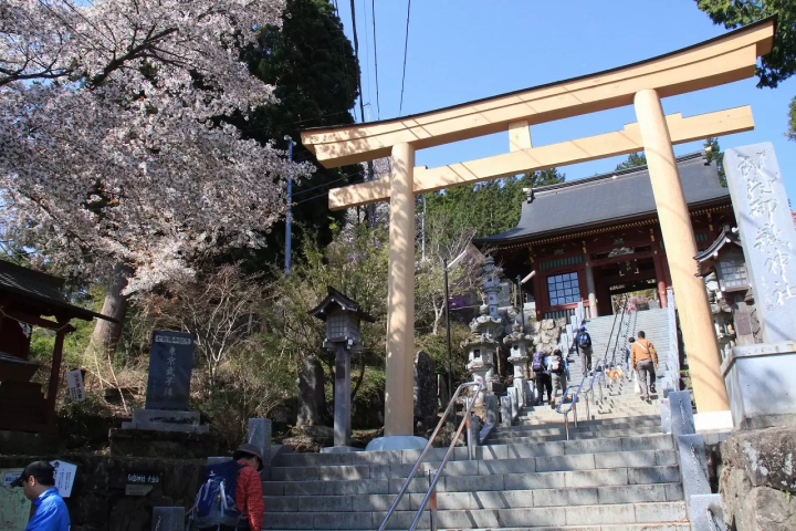 Cherry Blossoms Mount Mitake