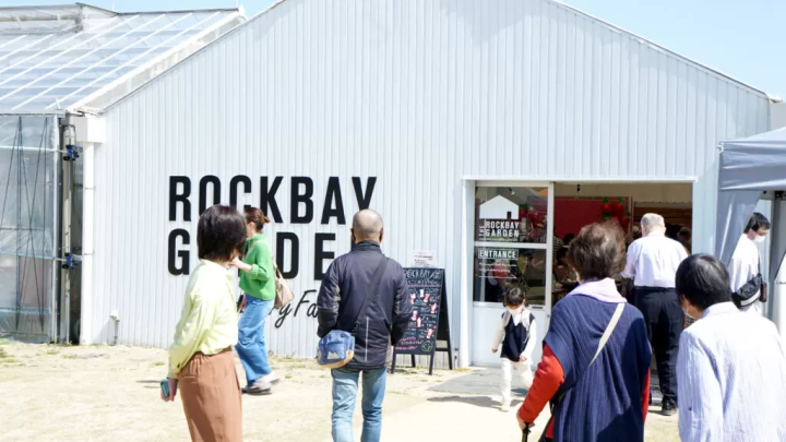 [ 교토 에서 기차로 20분 거리] 세 가지 종류의 딸기를 비교해 보세요! 딸기 따기 체험과 맛있는 딸기 디저트도 즐겨보세요♪
