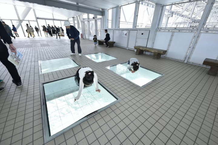 A Scenic Drive Setouchi: A Wide-Area Tour of Sea and Gourmet Food Connecting Okayama to Tokushima and Naruto