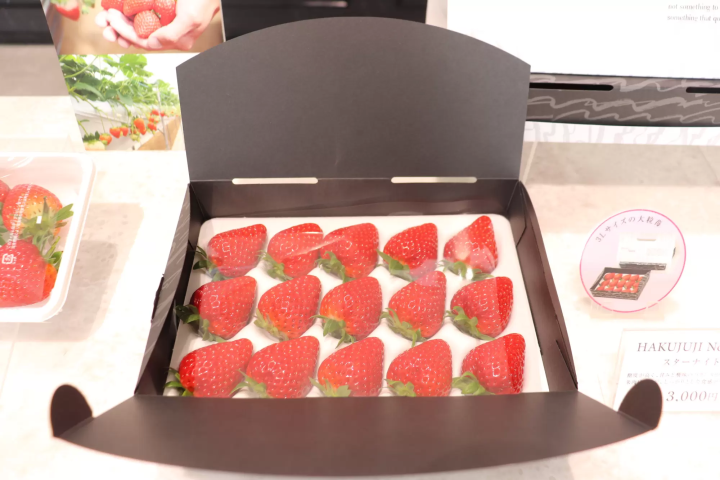 Okayama's classic souvenir, "Hakujyuji Confectionery" waffles, and a new cafe experience.