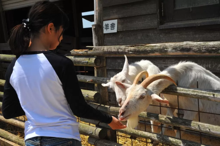 [2026] 10 Free Outing Spots in Okayama to Visit with Kids