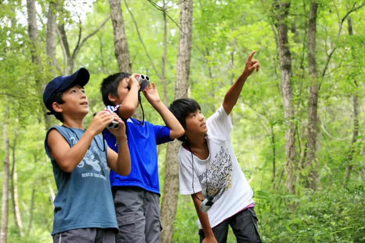 [2026] 10 Free Outing Spots in Okayama to Visit with Kids