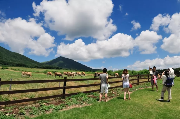 [2026] 10 Free Outing Spots in Okayama to Visit with Kids