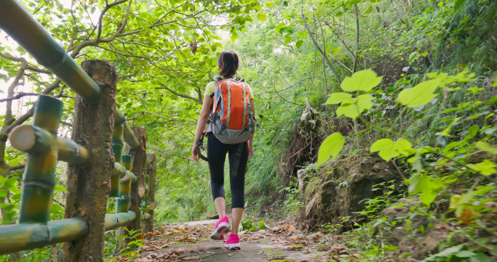 A walking journey across Japan – Trip To Japan Hiking Tour Special Feature –