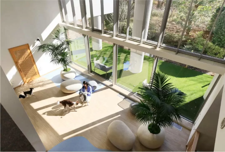 【2026】熱海でペットと泊まれるホテル5選!部屋食OKやコテージも紹介