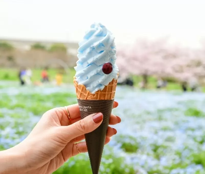 Tokyo's Toneri Park: Flower and Light Movement Event Blooms This Spring!