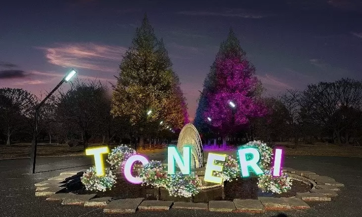 Tokyo's Toneri Park: Flower and Light Movement Event Blooms This Spring!