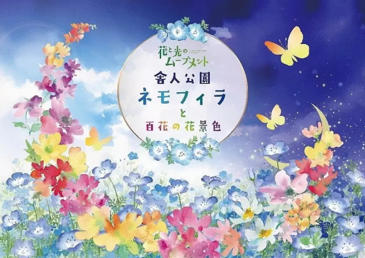 Toneri Park A Movement of Flowers and Light