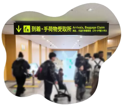 Check out this super practical transfer guide for Kansai International Airport right now!