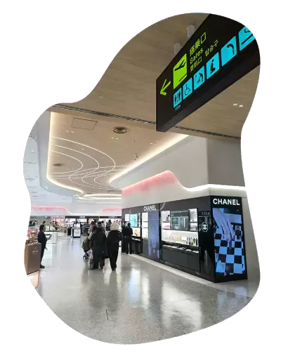 Check out this super practical transfer guide for Kansai International Airport right now!