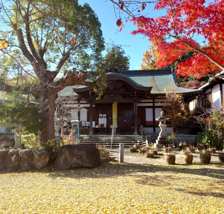 少し特別な日本の旅を求める方へ ― 盛松寺で抹茶体験とお香づくり
