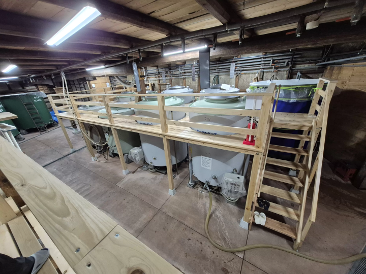 大阪・関西空港付近の300年酒蔵─  登録有形文化財で学ぶ日本酒試飲体験ツアー