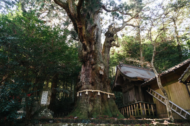 [ยูฟูอิน] ทริปปั่นจักรยาน 2 ชั่วโมงเพื่อสำรวจศาลเจ้า 3 แห่งและบ่อน้ำพุชื่อดัง!