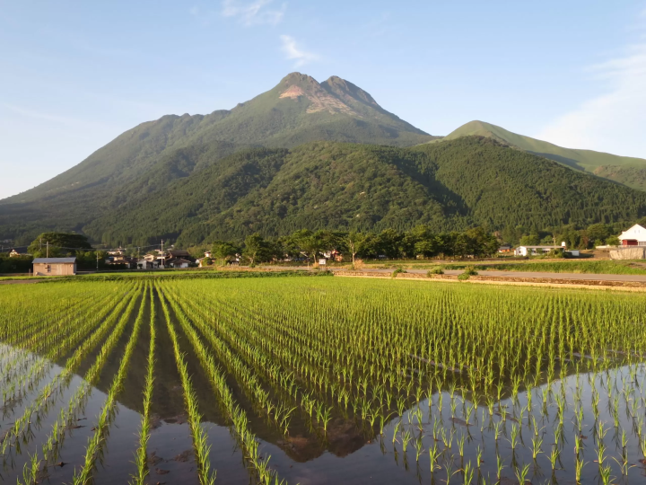 [ยูฟูอิน] ทริปปั่นจักรยาน 2 ชั่วโมงเพื่อสำรวจศาลเจ้า 3 แห่งและบ่อน้ำพุชื่อดัง!