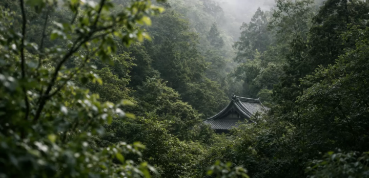 พิพิธภัณฑ์เซนและสวนชินโชจิ