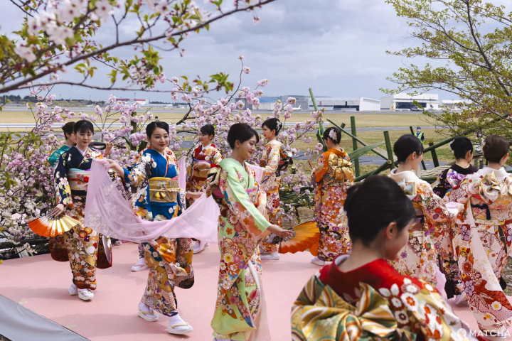 成田　飛行機　桜