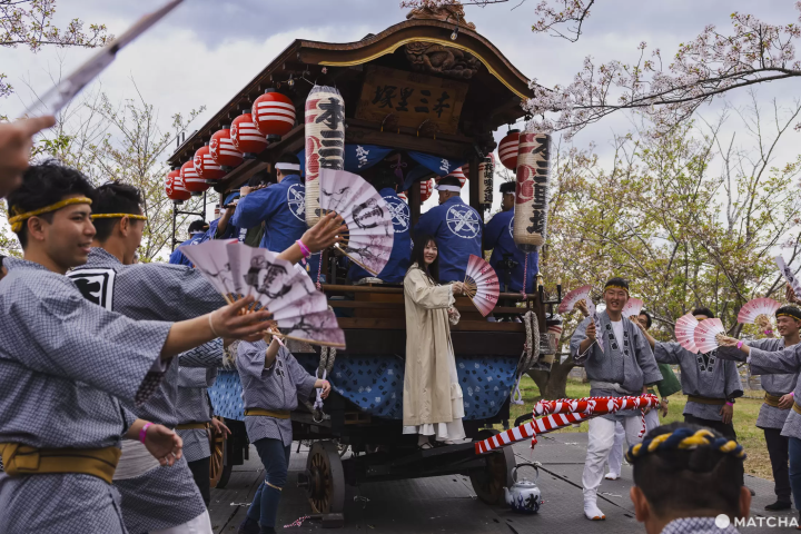 成田　飛行機　桜