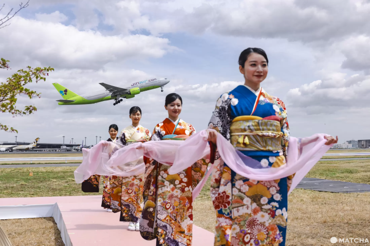 Hanami Beside the Runway: On-Site at Narita Airport’s Cherry Blossom x Airplane Ceremony
