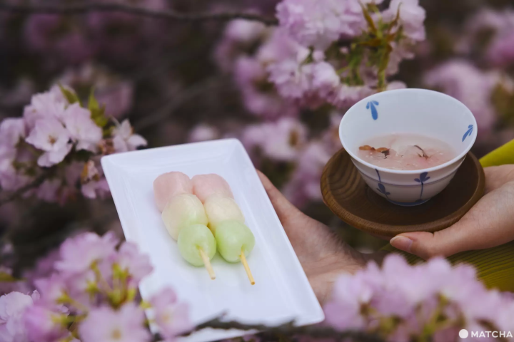 成田　飛行機　桜