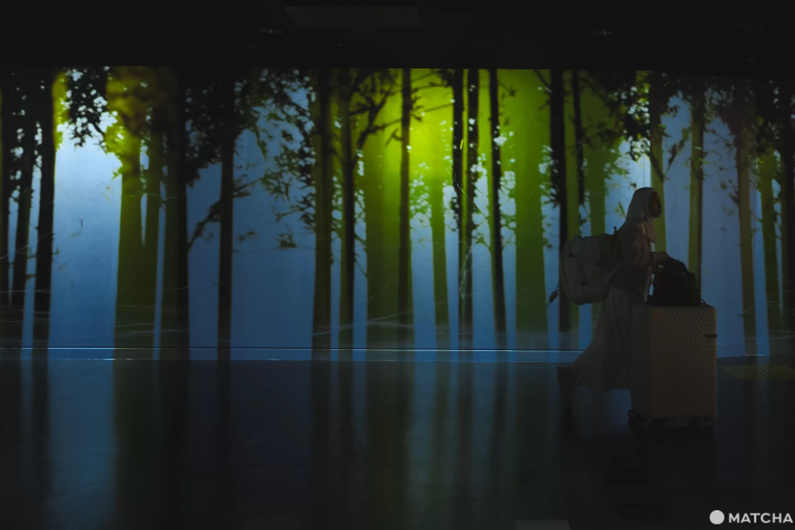 デジタル竹林エリア