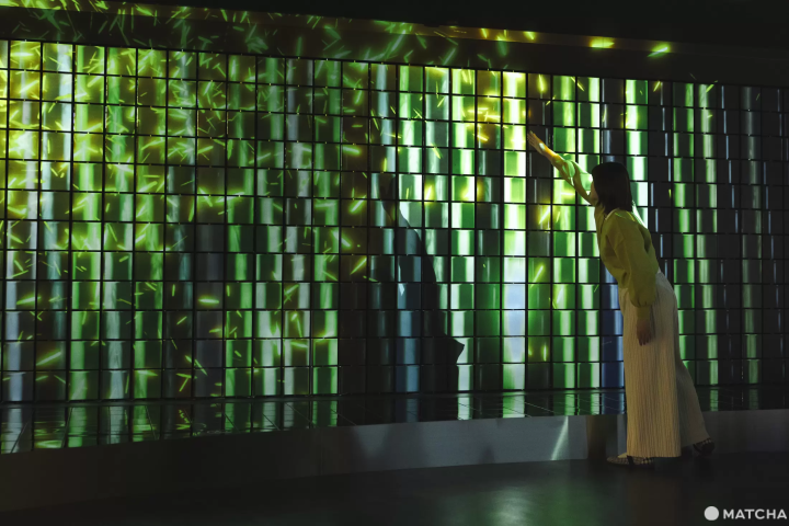 デジタル竹林エリア