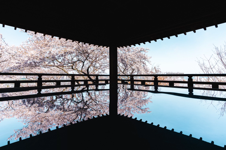 [Shiga] The Aesthetics of the Lake Country: A Day Tour Immersing Yourself in the World of Prayer and Literature at Mii-dera and Ishiyama-dera Temples