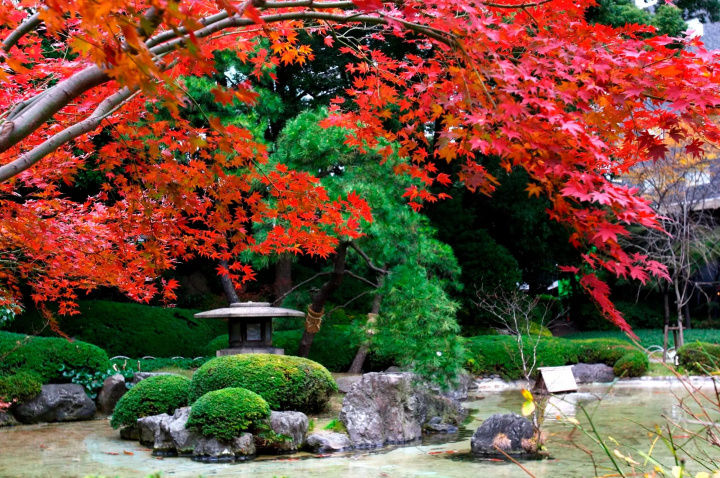 Grand Prince Hotel Takanawa garden