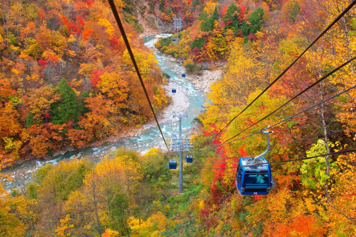 Chasing Autumn Colors: 6 Elegant Hotels Near Fall Foliage Spots
