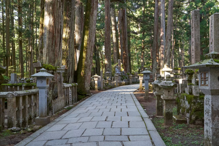[고야산] 고야산, 신성한 장소: 구카이의 철학과 일본인의 삶과 죽음에 대한 관점을 탐구하는 하루.