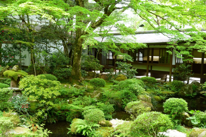 [เกียวโต, โอฮาร่า] ทัวร์หนึ่งวันอันเงียบสงบเพื่อสัมผัสภูมิทัศน์ดั้งเดิมของ เกียวโต: สำรวจวัด โอฮาร่า ซันเซ็นอินและวัฒนธรรมชนบท