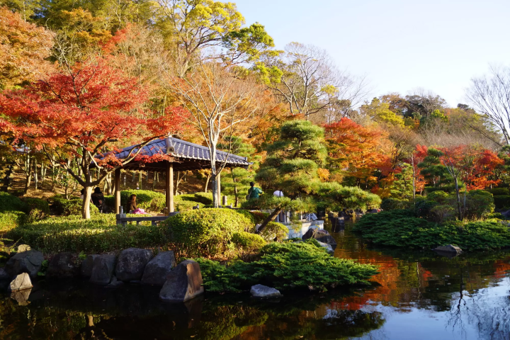 Oiso Joyama Park