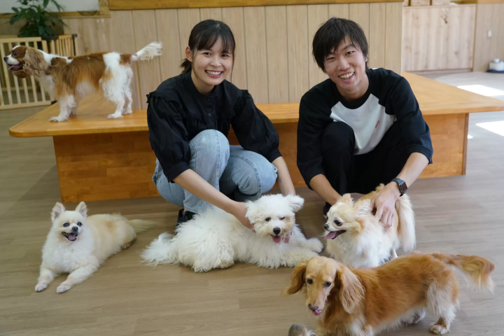How to enjoy Fuji Safari Park on a rainy day!