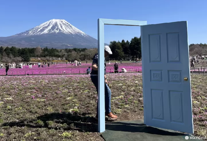 2026年富士芝櫻祭通往幸福的門戶