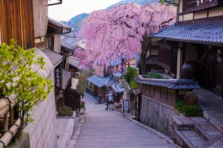 ★Template★ Introducing Kyoto recommended spots tour, recommended by guide XX!