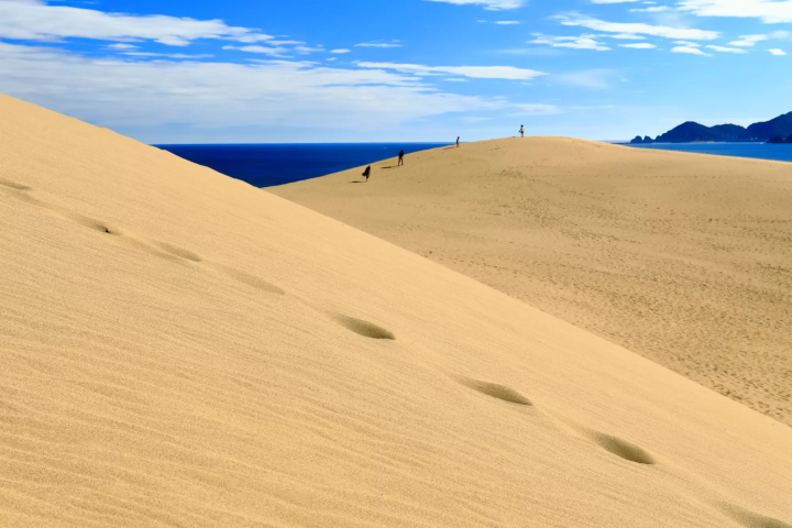 壯觀的鳥取砂丘