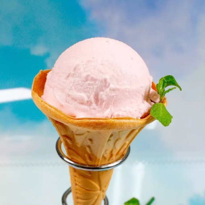 Osaka Hirakata Park Rose Festival: Where 600 Varieties Bloom