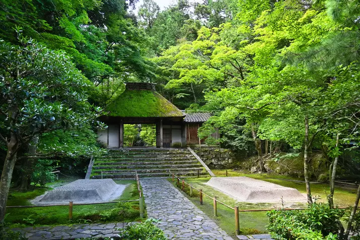 Gold-Guide recommends a high-quality trip to Kyoto to experience Japanese culture!