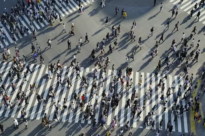 Gold-Guide 추천하는 이 반나절 투어는 도쿄의 전통과 최첨단을 모두 경험할 수 있는 특별한 기회입니다!