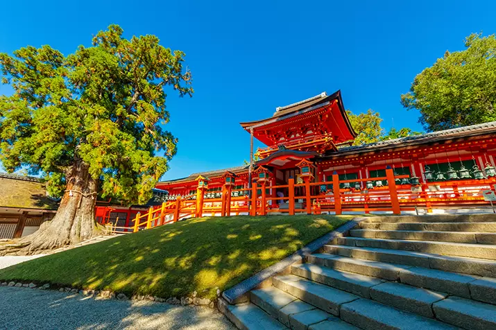 Explore Nara's Fushimi Inari Shrine and sake brewery area with Gold-Guide !