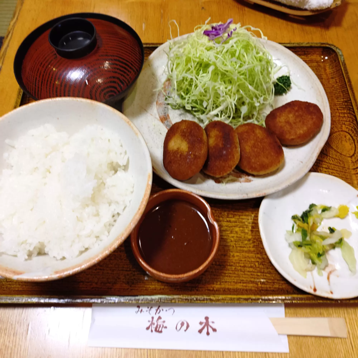 ร้านอาหาร 9 แห่งที่ดีที่สุดใน Kurashiki Bikan Historical Quarter [ย่าน] กัน ที่ชาวเมือง โอคายาม่า แนะนำ!