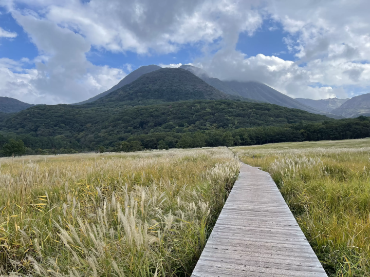 พื้นที่ชุ่มน้ำทาเดฮาระ ซึ่งทอดยาวไปทั่วโชจาบารุ 