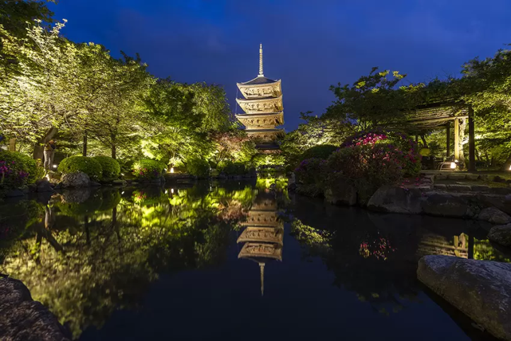 [Autumn 2026] Private Night Tour to See the World Heritage Site Toji Temple Illuminated in a Fantastical Light-Up Effect