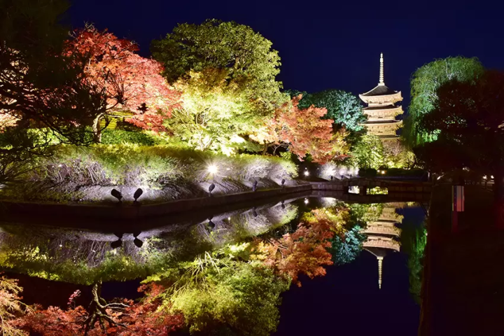 [Autumn 2026] Private Night Tour to See the World Heritage Site Toji Temple Illuminated in a Fantastical Light-Up Effect