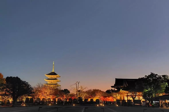 [Autumn 2026] Private Night Tour to See the World Heritage Site Toji Temple Illuminated in a Fantastical Light-Up Effect