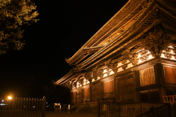 [Autumn 2026] Private Night Tour to See the World Heritage Site Toji Temple Illuminated in a Fantastical Light-Up Effect