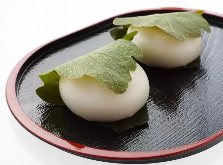 Kashiwa mochi confections