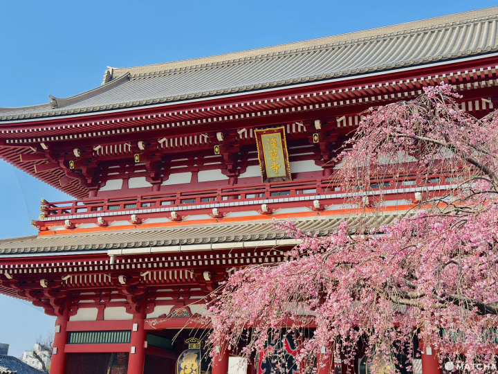 2026年3月淺草兒童歌舞伎活動現場 