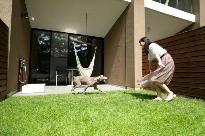 【2026】軽井沢で犬と泊まれるホテル5選!ドッグランや愛犬用設備が充実