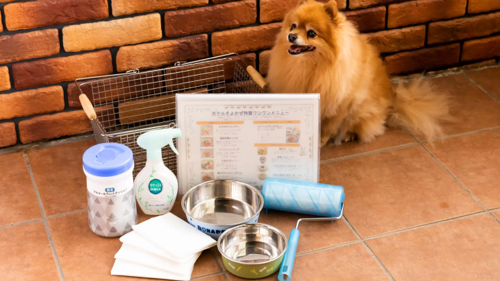 【2026】軽井沢で犬と泊まれるホテル5選!ドッグランや愛犬用設備が充実
