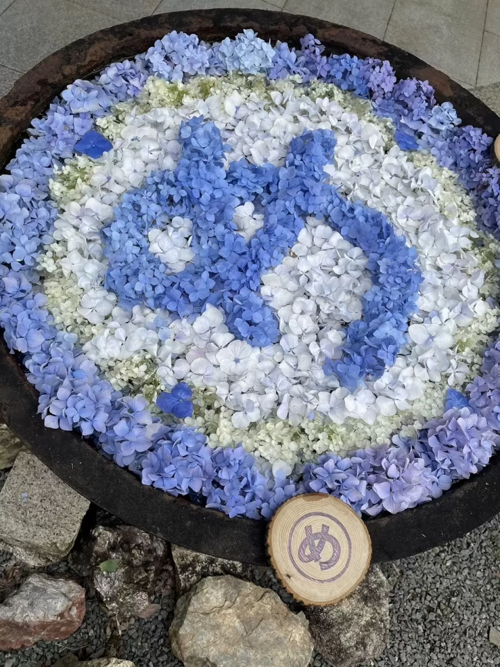 Kyoto Hydrangea Week 2026: Yanagidani Kannon Guide